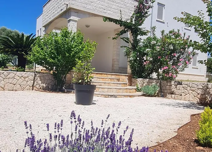 Appartement Mali San *